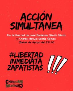 View Photo Imagen de WhatsApp 2025-05-01 a las 09.37.36_a1d448d0.jpg