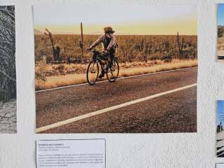 photo/7bdcfea0-f643-4741-8dca-feace3782cbf-3
