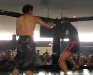 MMA_2011_03_26_mma4.png
