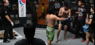 MMA_2014_08_30_madnessmma04.png