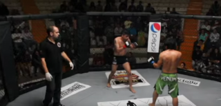 MMA_2014_08_30_madnessmma01.png